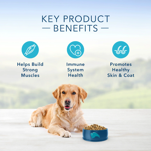 Product image of Blue Buffalo Life Protection Formula Chicken and Brown Rice Dry Dog Food for Adult Dogs, Whole Grain, 5 lb.