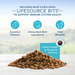 Product image of Blue Buffalo Life Protection Formula Small Breed Chicken and Brown Rice Dry Dog Food for Adult Dogs, Whole Grain, 5 lb.