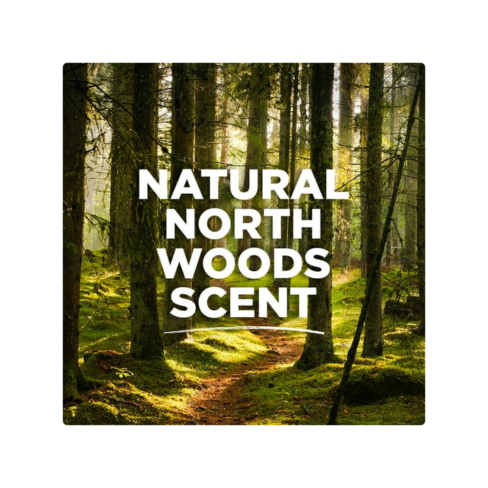 Product image of Tom's of Maine Men's Antiperspirant, North Woods, 2.8 Ounce
