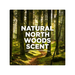 Product image of Tom's of Maine Men's Antiperspirant, North Woods, 2.8 Ounce