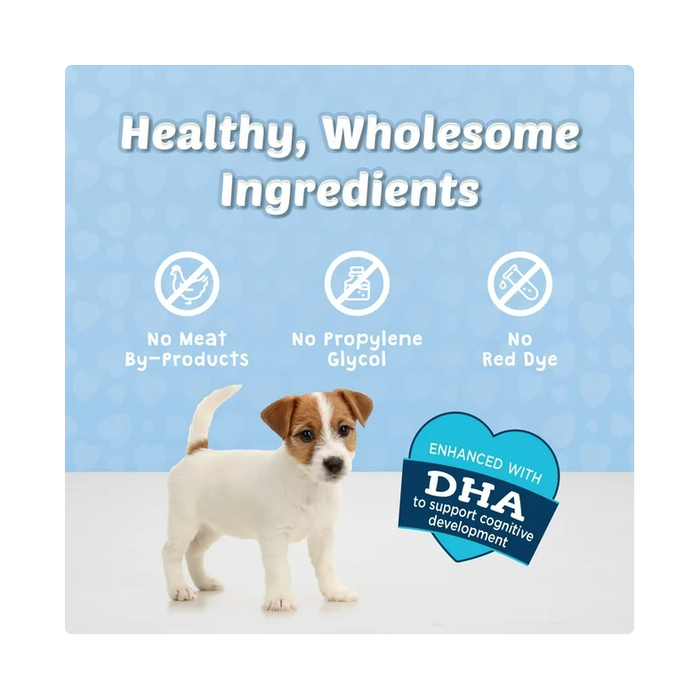 Product image of Blue Buffalo BLUE Bits Training Treats Chicken Flavor Soft Treats for Dogs, Whole Grain, 11 oz. Bag