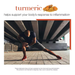 Product image of Youtheory Turmeric Extra Strength Capsules (150 ct.)
