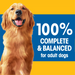 Product image of Pedigree Complete Nutrition Grilled Steak & Vegetable Flavor Dry Dog Food for Adult Dog, 18 lb. Bag