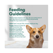 Product image of Jinx Chopped Chicken Recipe Natural Wet Dog Food, Grain-Free, 13 oz.