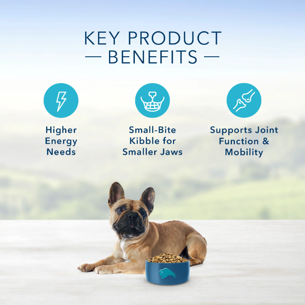 Product image of Blue Buffalo Life Protection Formula Small Breed Chicken and Brown Rice Dry Dog Food for Adult Dogs, Whole Grain, 5 lb.