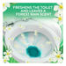 Product image of Lysol Toilet Bowl Cleaner Gel, For Cleaning and Disinfecting, Stain Removal, Forest Rain Scent, 24oz (Pack of 2)